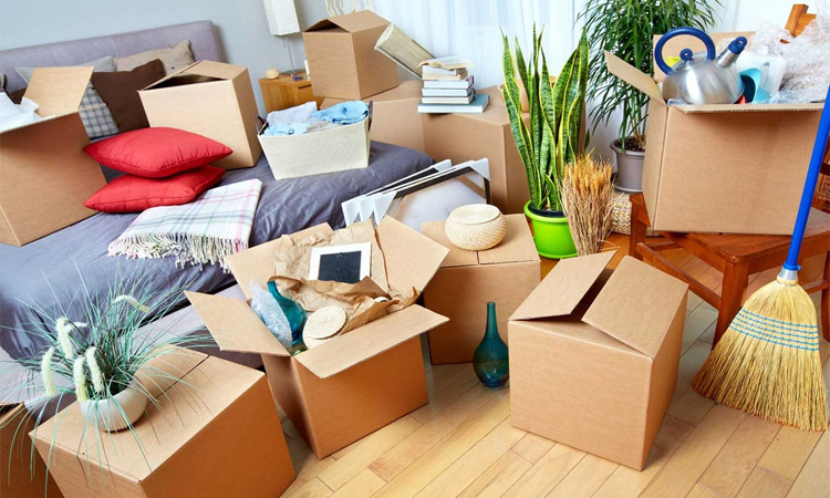 Household Shifting